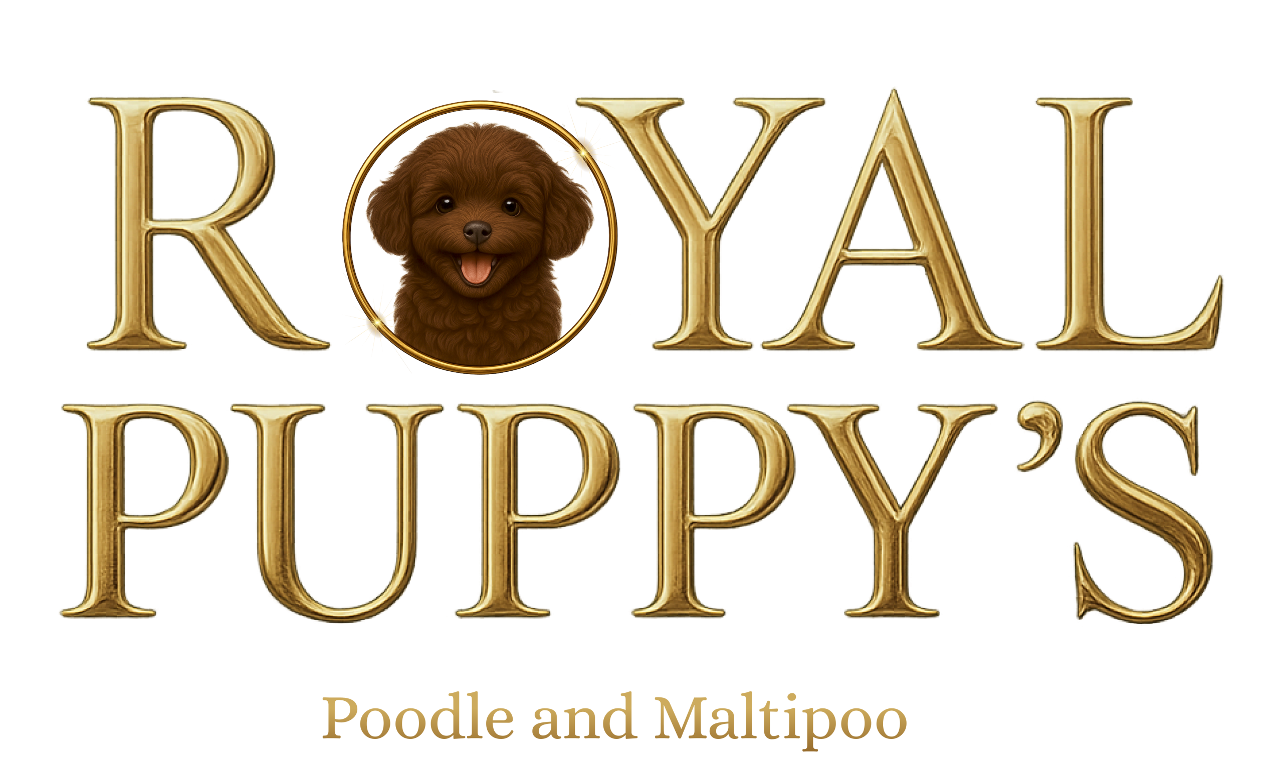 royalpuppys