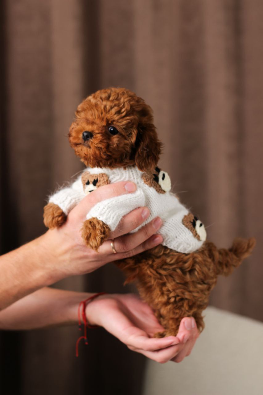 Мальтіпу — турботлива доставка